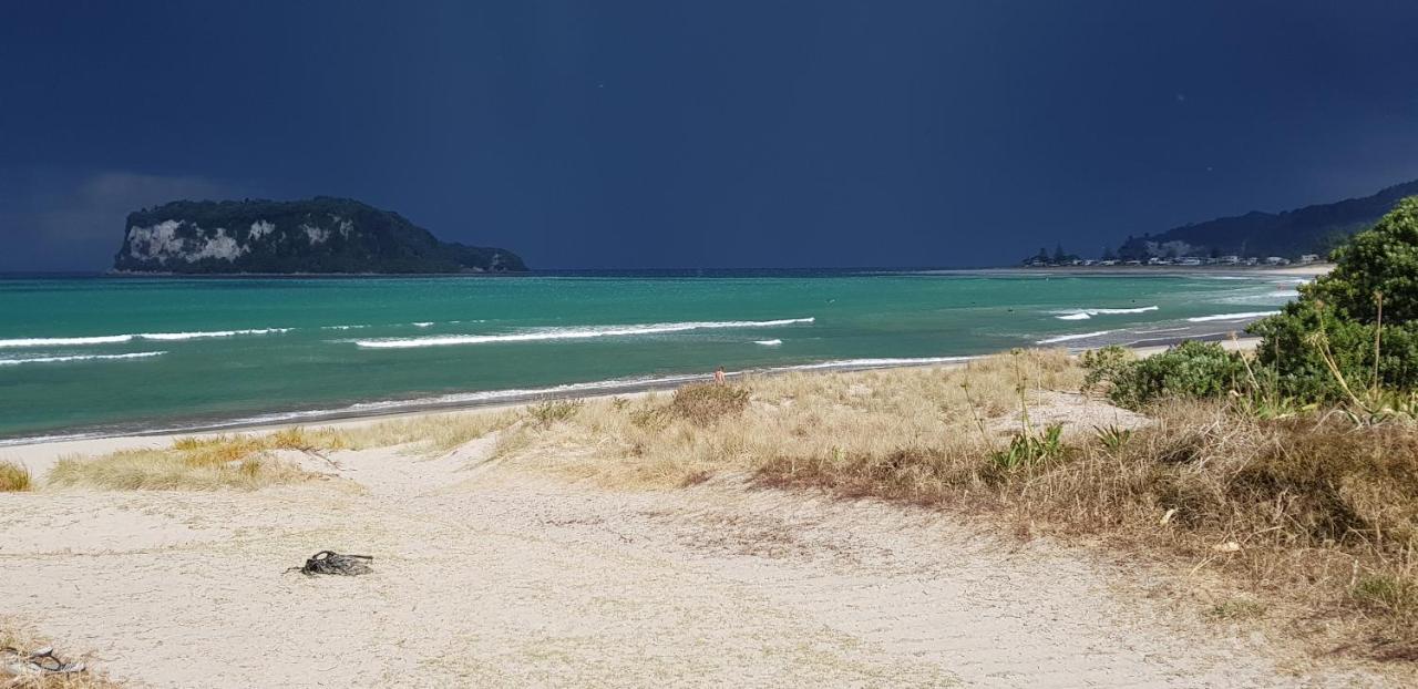Heron'S Nest Whangamata Kültér fotó